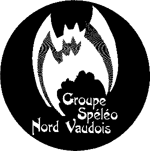 logo gsnv